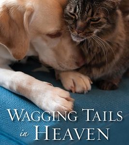 Wagging Tails in Heaven: The Gift of Our Pets' Everlasting Love