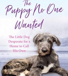 The Puppy No One Wanted: The Little Dog Desperate for a Home to Call His Own