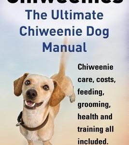 Chiweenies. the Ultimate Chiweenie Dog Manual. Chiweenie Care, Costs, Feeding, Grooming, Health and Training All Included.