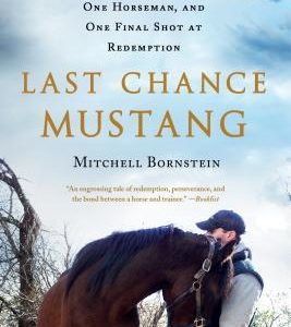 Last Chance Mustang: The Story of One Horse, One Horseman, and One Final Shot at Redemption