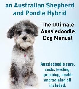 Aussiedoodles. the Ultimate Aussiedoodle Dog Manual. Aussiedoodle Care, Costs, Feeding, Grooming, Health and Training All Included.