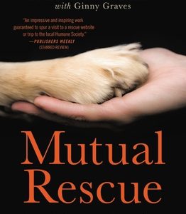 Mutual Rescue: How Adopting a Homeless Animal Can Save You, Too