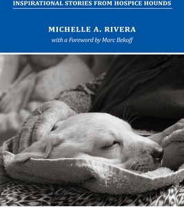 On Dogs and Dying: Stories of Hospice Hounds