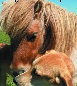 The Dogs of Proud Spirit