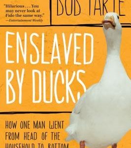 Enslaved by Ducks