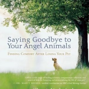 Saying Goodbye to Your Angel Animals: Finding Comfort After Losing Your Pet