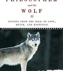 Philosopher and the Wolf: Lessons from the Wild on Love, Death, and Happiness