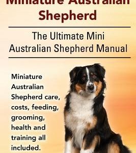 The Miniature Australian Shepherd. The Ultimate Mini Australian Shepherd Manual Miniature Australian Shepherd care, costs, feeding, grooming, health a