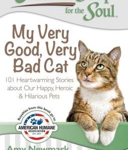 Chicken Soup for the Soul: My Very Good, Very Bad Cat: 101 Heartwarming Stories about Our Happy, Heroic & Hilarious Pets