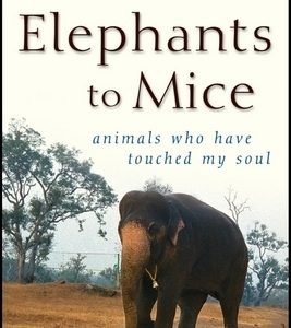 From Elephants to Mice: Animals Who Have Touched My Soul