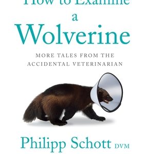 How to Examine a Wolverine: More Tales from the Accidental Veterinarian