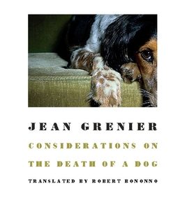 Considerations on the Death of a Dog