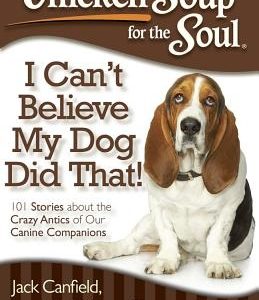 Chicken Soup for the Soul: I Can't Believe My Dog Did That!: 101 Stories about the Crazy Antics of Our Canine Companions