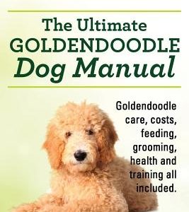 Goldendoodles. Ultimate Goldendoodle Dog Manual. Goldendoodle Care, Costs, Feeding, Grooming, Health and Training All Included.