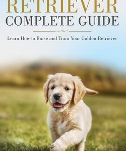 Golden Retriever Complete Guide