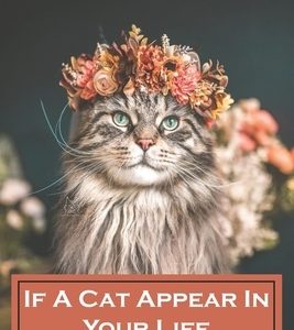 If A Cat Appear In Your Life Beaitiful Stories For Cat Lover: Books About Cats