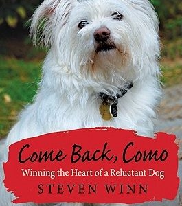 Come Back, Como: Winning The Heart Of A Reluctant Dog