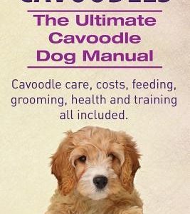 Cavoodles. Ultimate Cavoodle Dog Manual. Cavoodle care, costs, feeding, grooming, health and training all included.
