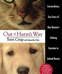 Out of Harm's Way