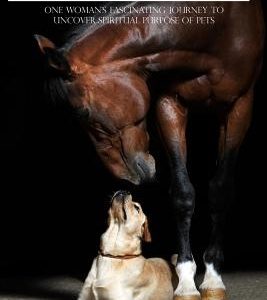 Animal Lover: One Woman's Fascinating Journey to Uncover the Spiritual Purpose of Pets