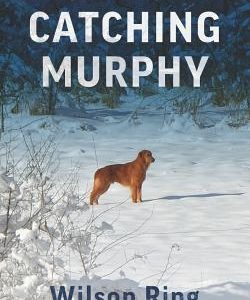 Catching Murphy