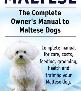 Maltese. The Complete Owners manual to Maltese dogs. Complete manual for care, costs, feeding, grooming, health and training your Maltese dog.