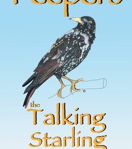 Peepers the Talking Starling