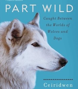 Part Wild: Caught Between the Worlds of Wolves and Dogs