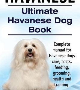 Havanese. Ultimate Havanese Book. Complete manual for Havanese dogs care, costs, feeding, grooming, health and training.