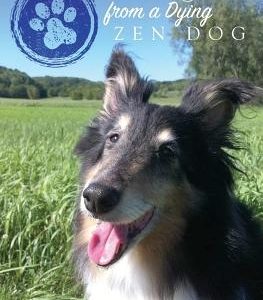Final Thoughts From A Dying Zen Dog
