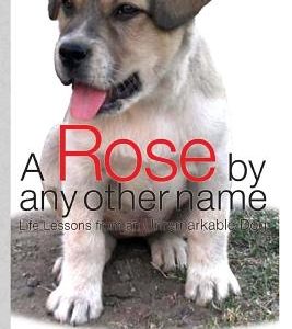A Rose by Any Other Name: Life Lessons from an Unremarkable Dog