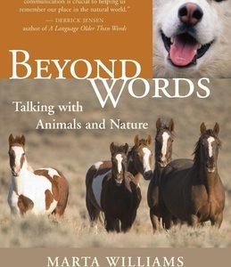 Beyond Words: Talking with Animals and Nature