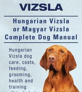 Hungarian Vizsla. Hungarian Vizsla Or Magyar Vizsla Complete Dog Manual. Hungarian Vizsla dog care, costs, feeding, grooming, health and training all