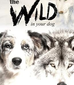 Embracing the Wild in Your Dog, An understanding of the authors of our dog's behavior-nature and the wolf