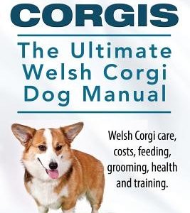 Welsh Corgis. The Ultimate Welsh Corgi Dog Manual. Welsh Corgi care, costs, feeding, grooming, health and training.