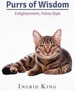 Purrs of Wisdom: Enlightenment, Feline Style