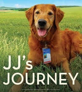 Jj's Journey: A Story of Heroes and Heart