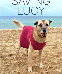 Saving Lucy: A Girl, a Bike, a Street Dog