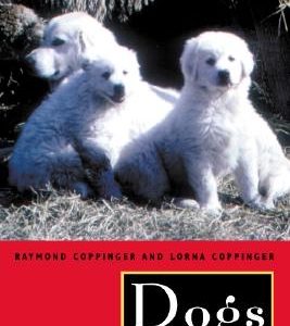 Dogs: A New Understanding of Canine Origin, Behavior and Evolution