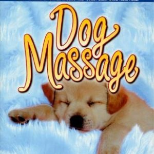 Dog Massage: A Whiskers-To-Tail Guide to Your Dog's Ultimate Petting Experience