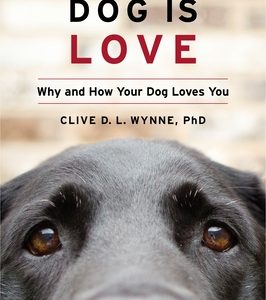 Dog Is Love: Why and How Your Dog Loves You