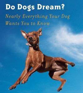 Do Dogs Dream?: Nearly Everything Your Dog Wants You to Know