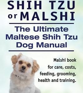 Maltese Shih Tzu or Malshi. The Ultimate Maltese Shih Tzu Dog Manual. Malshi book for care, costs, feeding, grooming, health and training.
