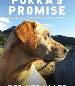 Pukka's Promise: The Quest for Longer-Lived Dogs