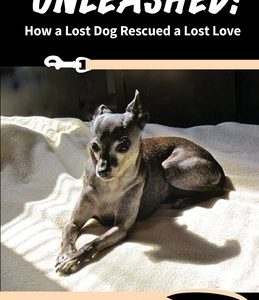 Unleashed! How A Lost Dog Rescued A Lost Love