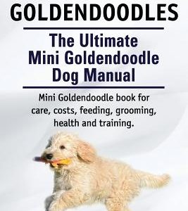 Mini Goldendoodles. The Ultimate Mini Goldendoodle Dog Manual. Miniature Goldendoodle book for care, costs, feeding, grooming, health and training.