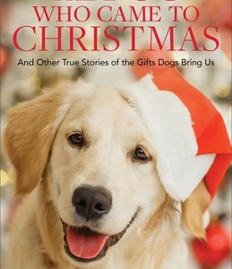 The Dog Who Came to Christmas: And Other True Stories of the Gifts Dogs Bring Us