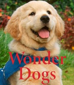 Wonder Dogs