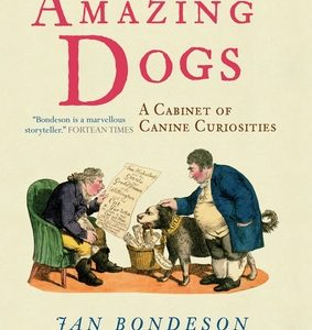 Amazing Dogs: A Cabinet of Canine Curiosities