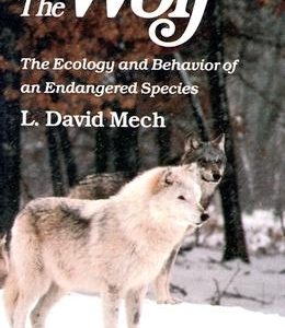 Wolf: The Ecology and Behavior of an Endangered Species